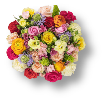 Top-down view of a colorful mixed bouquet of roses, ranunculus, carnations and lavender pincushion flowers